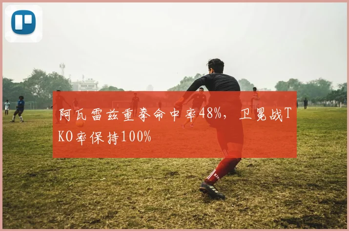 阿瓦雷兹重拳命中率48%,卫冕战TKO率保持100%