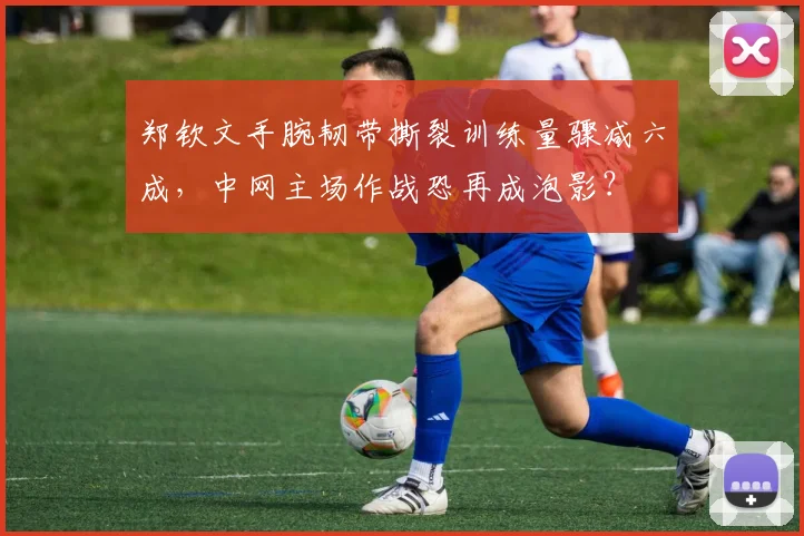 郑钦文手腕韧带撕裂训练量骤减六成,中网主场作战恐再成泡影?